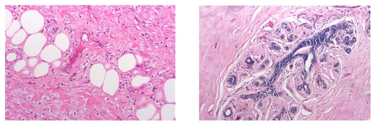 顯微鏡相機MV-6T 1600萬超高分辨率顯微數(shù)碼相機 64M內(nèi)存 顯微鏡相機MV-6T 1600萬超高分辨率顯微數(shù)碼相機 64M內(nèi)存