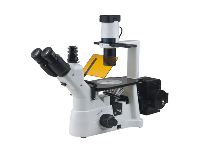 倒置熒光YG-XD30臨床診斷、教學(xué)實(shí)驗(yàn)、病理檢測(cè) 細(xì)胞熒光染色觀察