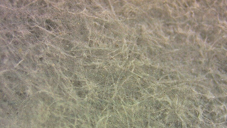 3R-MSA580 便攜式觸屏數碼顯微鏡