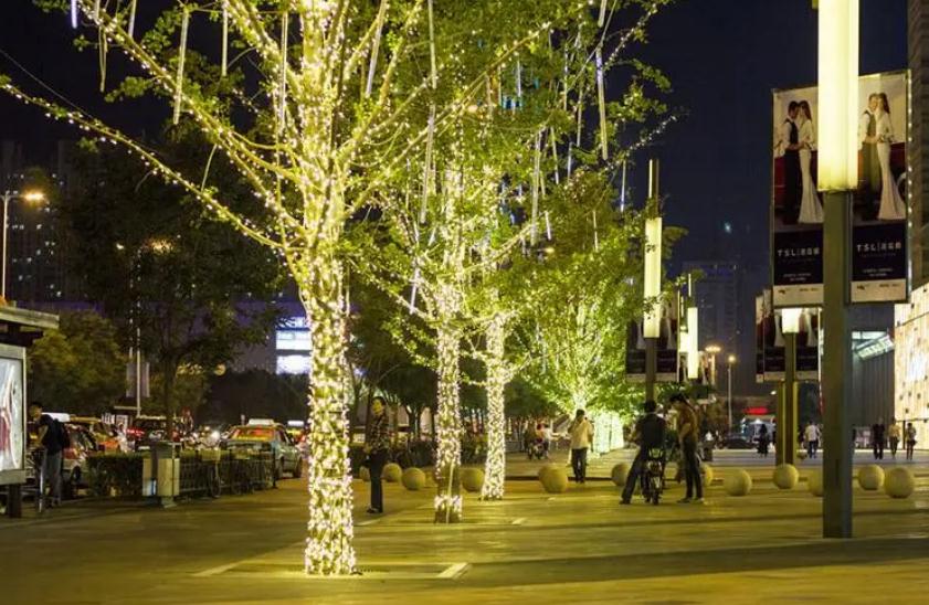 城市道路樹木亮化：城市生態(tài)修復(fù)與亮化